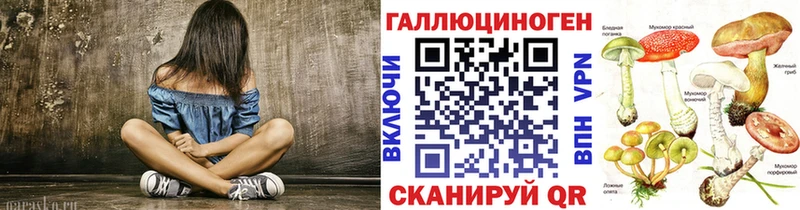даркнет сайт  Багратионовск  MEGA ONION  Псилоцибиновые грибы мицелий 